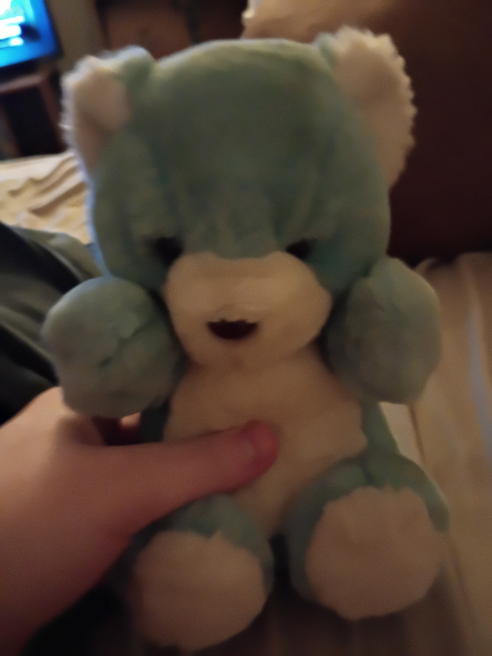A Light Blue and White Teddy Bear